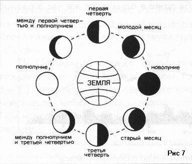 Схема фаз луны рисунок